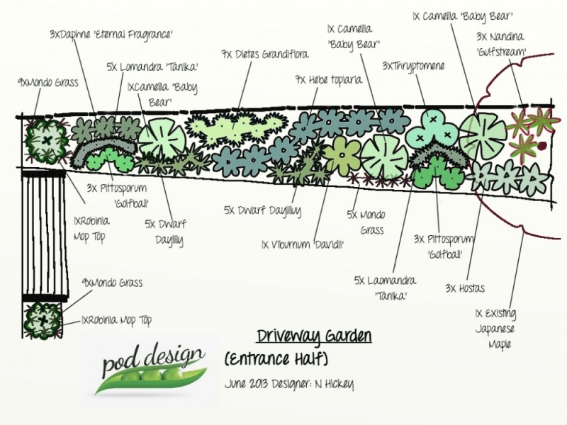 Garden Design Services, How To Plan A Garden Nz