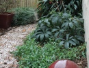 Shady Side Path